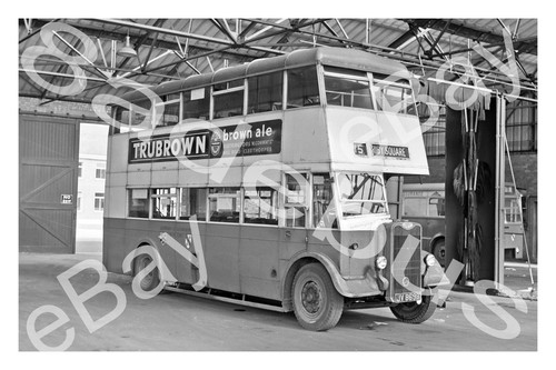 Bus photograph - bus,