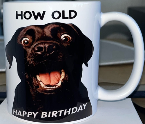 Novelty labrador birthday - novelty,