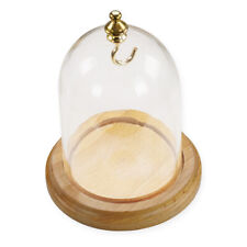Pocket Watch Display Dome