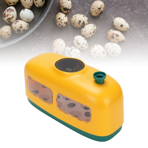 Eggs incubator for hatching - 8,