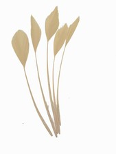 Long Fascinators Feathers