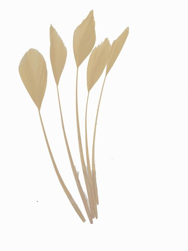Long fascinators feathers - long,