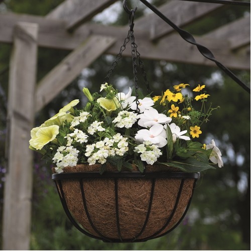 30cm garden hanging baskets - hanging,