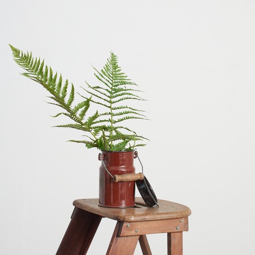 Antique vintage rustic small - antique,