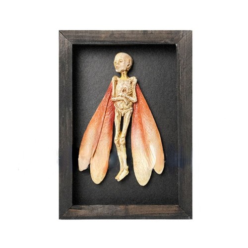 Mysterious fairy skeleton - mysterious,