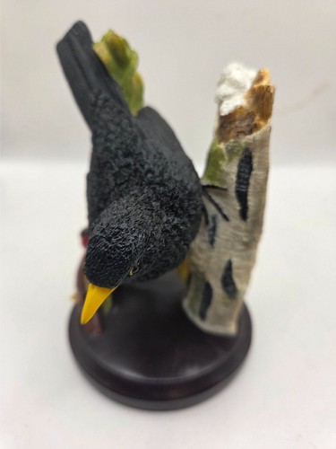 The country bird - the, collection