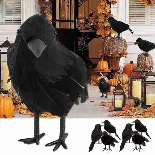 Simulation black crow - simulation,