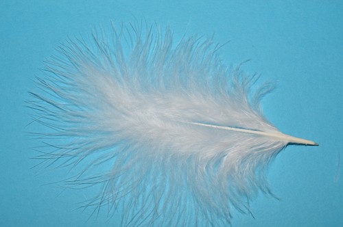 Quality marabou feathers - marabou,