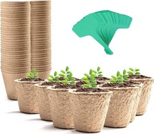 100 Seedling Plant Pots Square