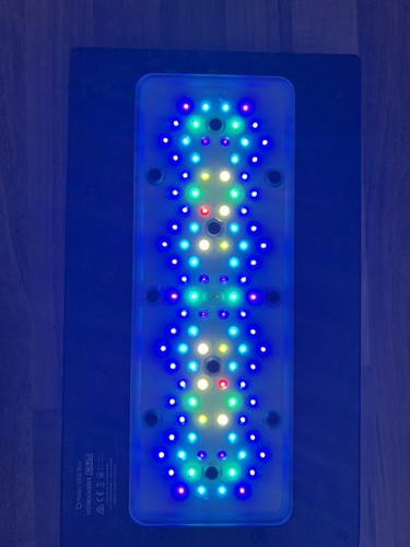 Radion xr30 blue - radion,