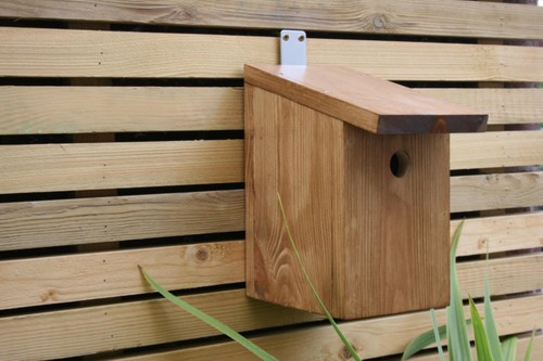 Nest boxes bird - boxes, for