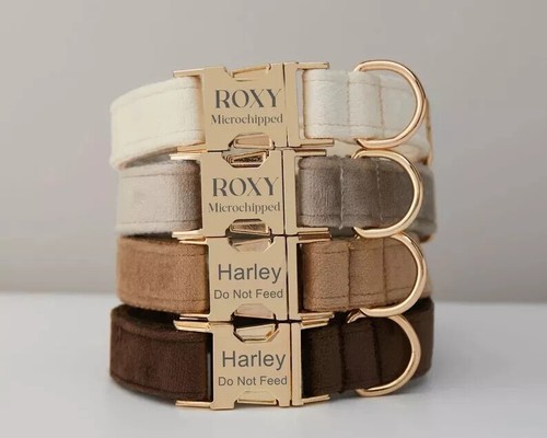 Personalized velvet dog collar - velvet,