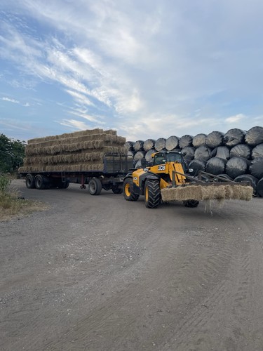 Organic meadow hay bales - organic,
