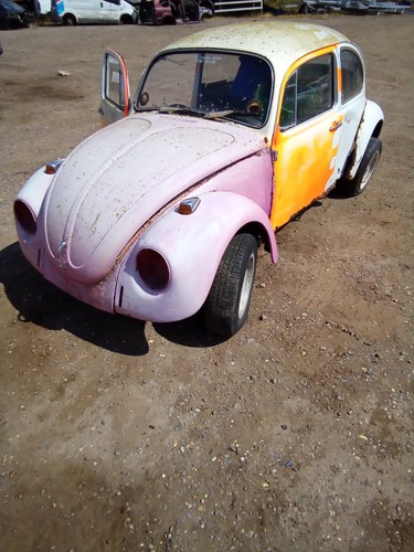 Volkswagen beetle wing - volkswagen,