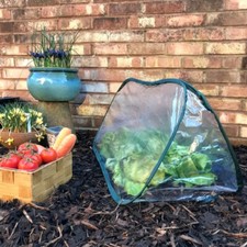 25x0 poly tunnel cloche - tunnel,