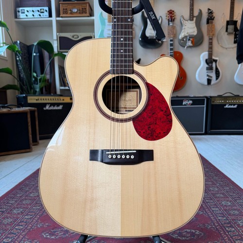 Freshman electro acoustic - freshman,