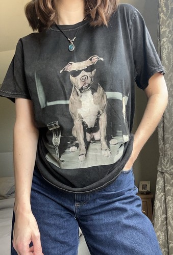 New pitbull drinking - new,