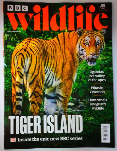 Bbc wildlife magazine - wildlife,