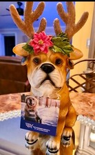 Humane Society Christmas