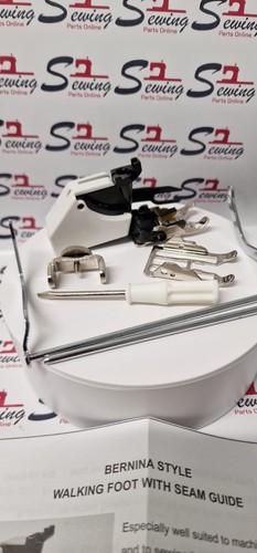 Bernina artista aurora activa - aurora,