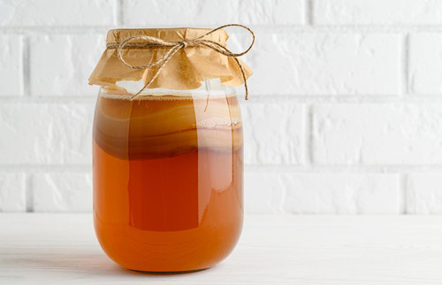 Organic kombucha scoby - organic,