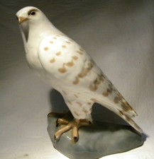 RUSSIAN  LZFI BIRD  RUSSIAN GOSHAWK