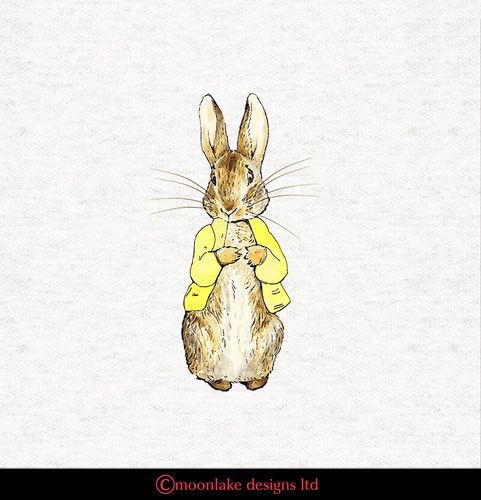 Beatrix potter peter - beatrix,