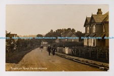 C031763 Chiddingfold Ridgeley