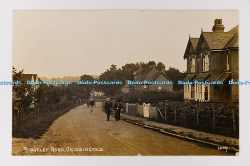 C031763 chiddingfold ridgeley - chiddingfold,