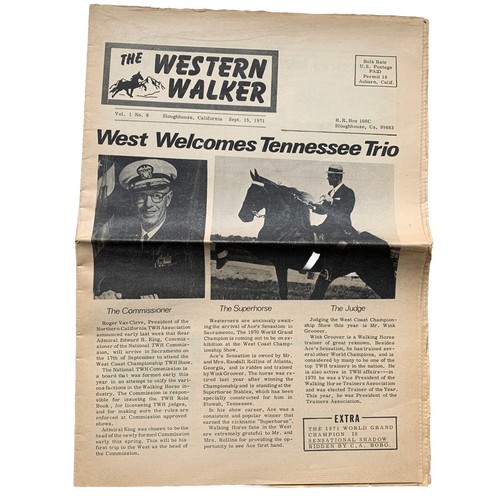Rare tennessee walking horse - walking,