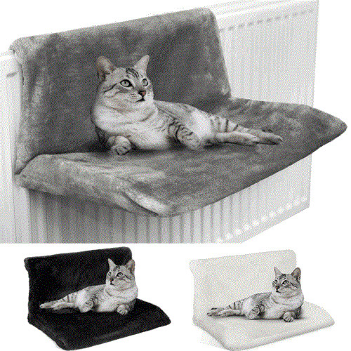 Cat kitten hanging radiator - cat,