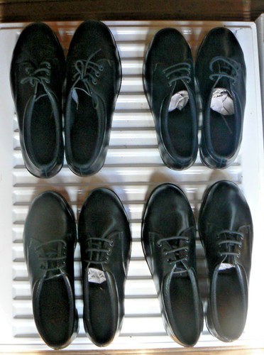 Pairs totectors ladies - pairs,