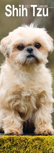 Shih tzu slim 2027 - calendar, |