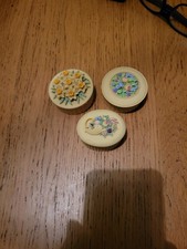 3 Decorative Primrose