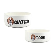 Cavalier Spaniel Food & Water