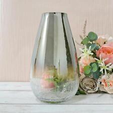Crackle Vase Ombre Glass