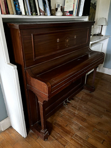 Free good home - *free, upright
