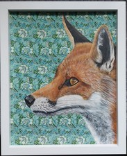 Original wildlife Red Fox