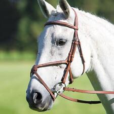 Shires Avignon Grackle Bridle