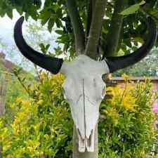 Ivory Buffalo Skull Sculpture