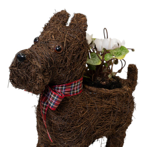 Scottie dog planter with - scottie,