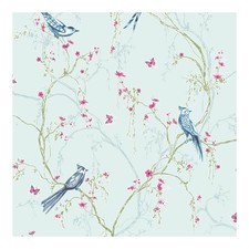 Superfresco Easy Songbird