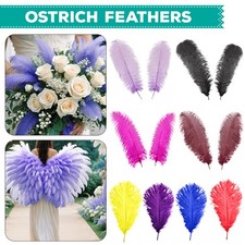 Large ostrich feathers plume - large,