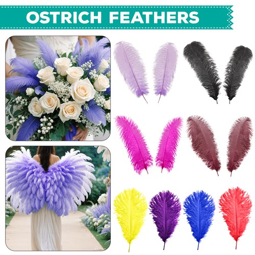 Large ostrich feathers - ostrich,