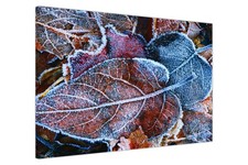 Frozen Leaves Canvas Wall Art