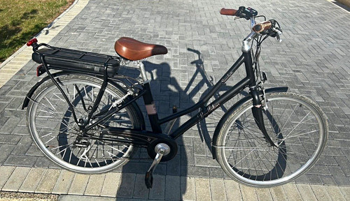 Pendleton bike