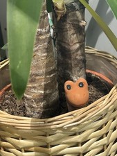 Premium Quality Terracotta