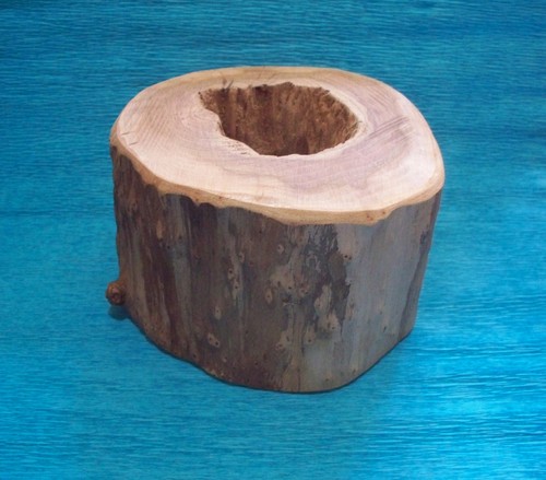 Rustic hollow oak log - rustic,