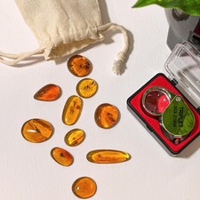 Amber collection pieces - amber, 10