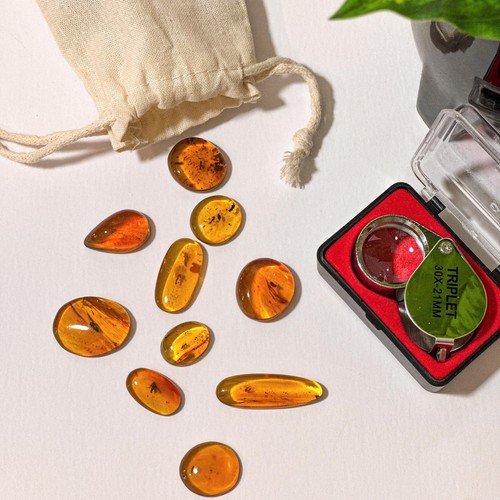 Amber collection pieces - amber, +